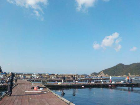 淡路じゃのひれフィッシングパーク 釣果