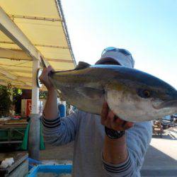 淡路じゃのひれフィッシングパーク 釣果