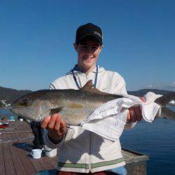 淡路じゃのひれフィッシングパーク 釣果