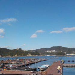 淡路じゃのひれフィッシングパーク 釣果