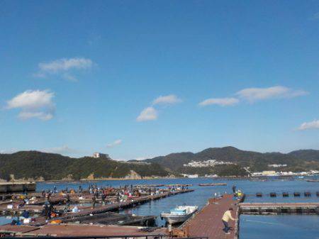 淡路じゃのひれフィッシングパーク 釣果