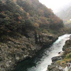 淡路じゃのひれフィッシングパーク 釣果