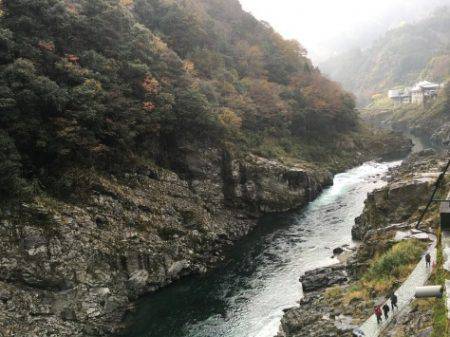 淡路じゃのひれフィッシングパーク 釣果