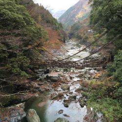 淡路じゃのひれフィッシングパーク 釣果