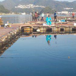 淡路じゃのひれフィッシングパーク 釣果