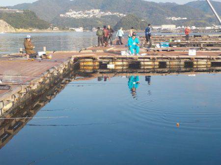 淡路じゃのひれフィッシングパーク 釣果