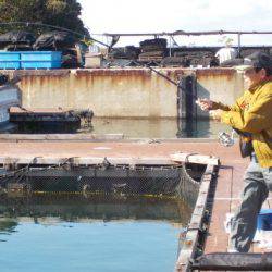 淡路じゃのひれフィッシングパーク 釣果