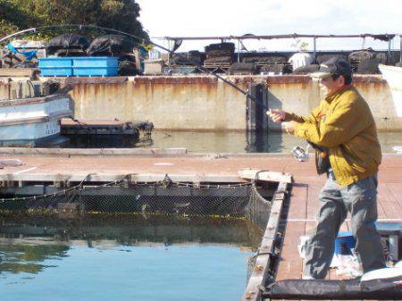 淡路じゃのひれフィッシングパーク 釣果