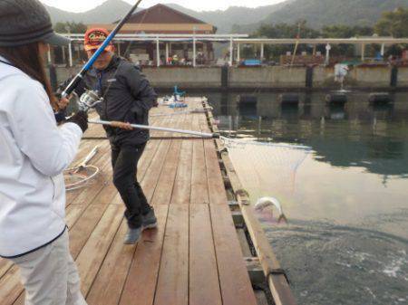 淡路じゃのひれフィッシングパーク 釣果