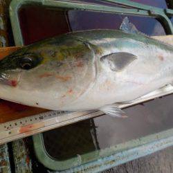 淡路じゃのひれフィッシングパーク 釣果