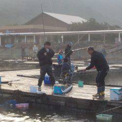 淡路じゃのひれフィッシングパーク 釣果