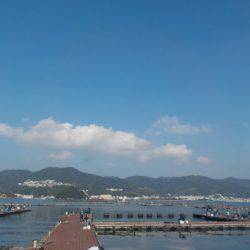 淡路じゃのひれフィッシングパーク 釣果