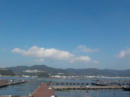 淡路じゃのひれフィッシングパーク 釣果