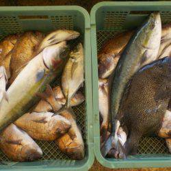 淡路じゃのひれフィッシングパーク 釣果