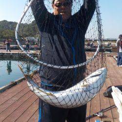 淡路じゃのひれフィッシングパーク 釣果