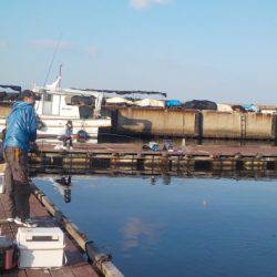 淡路じゃのひれフィッシングパーク 釣果