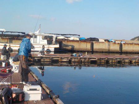 淡路じゃのひれフィッシングパーク 釣果