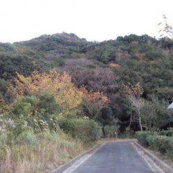 淡路じゃのひれフィッシングパーク 釣果