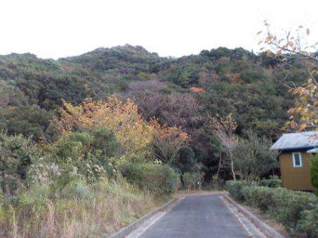 淡路じゃのひれフィッシングパーク 釣果