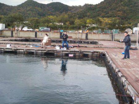 淡路じゃのひれフィッシングパーク 釣果