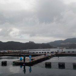 淡路じゃのひれフィッシングパーク 釣果