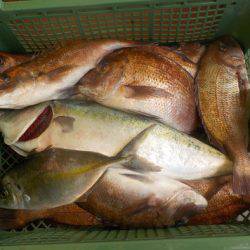 淡路じゃのひれフィッシングパーク 釣果