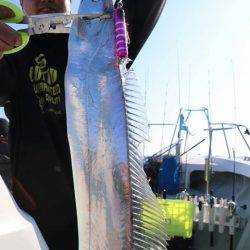 スカイマリン 釣果