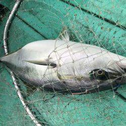広進丸 釣果