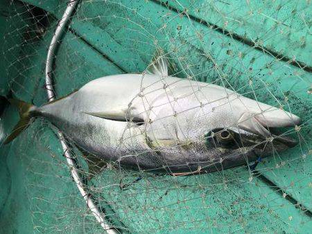 広進丸 釣果