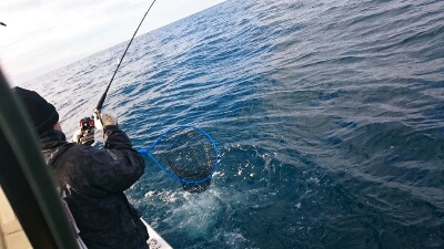 IDATEN(イダテン) 釣果