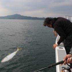 へいみつ丸 釣果