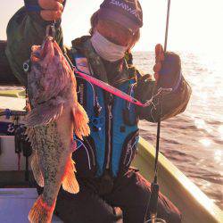 気仙沼　つり丸 釣果