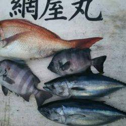 網屋丸 釣果