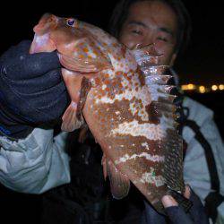 TOPGUN名古屋 釣果