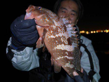 TOPGUN名古屋 釣果