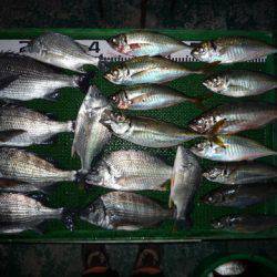 海山フィッシングセンター 釣果