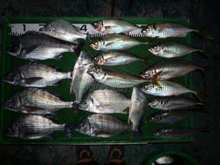 海山フィッシングセンター 釣果