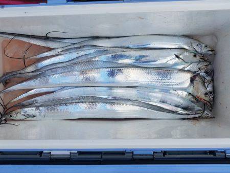 遊漁船 ニライカナイ 釣果