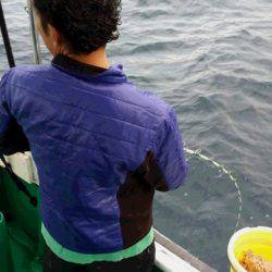 第3浜丸 釣果