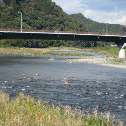 狩野川(狩野川漁業協同組合) 釣果
