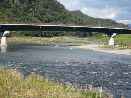 狩野川（狩野川漁業協同組合） 釣果