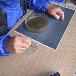 狩野川(狩野川漁業協同組合) 釣果