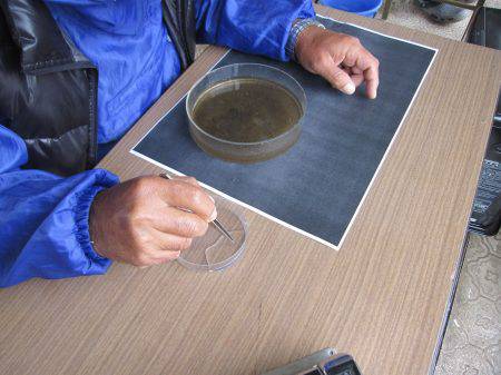 狩野川(狩野川漁業協同組合) 釣果