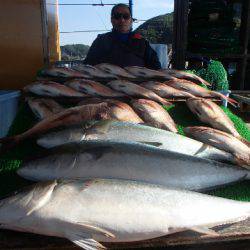 カタタのつり堀 釣果