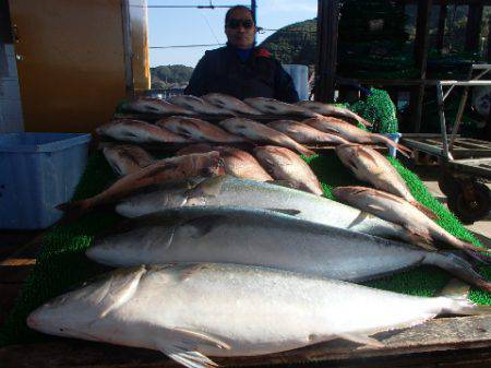 カタタのつり堀 釣果