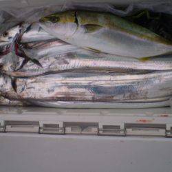 弘福丸 釣果