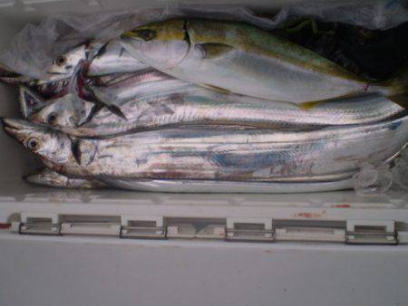 弘福丸 釣果