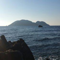 鵜来島家本渡船 釣果