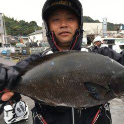 鵜来島家本渡船 釣果