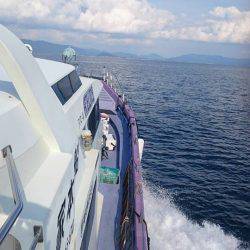 鵜来島家本渡船 釣果